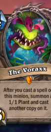 voraxx