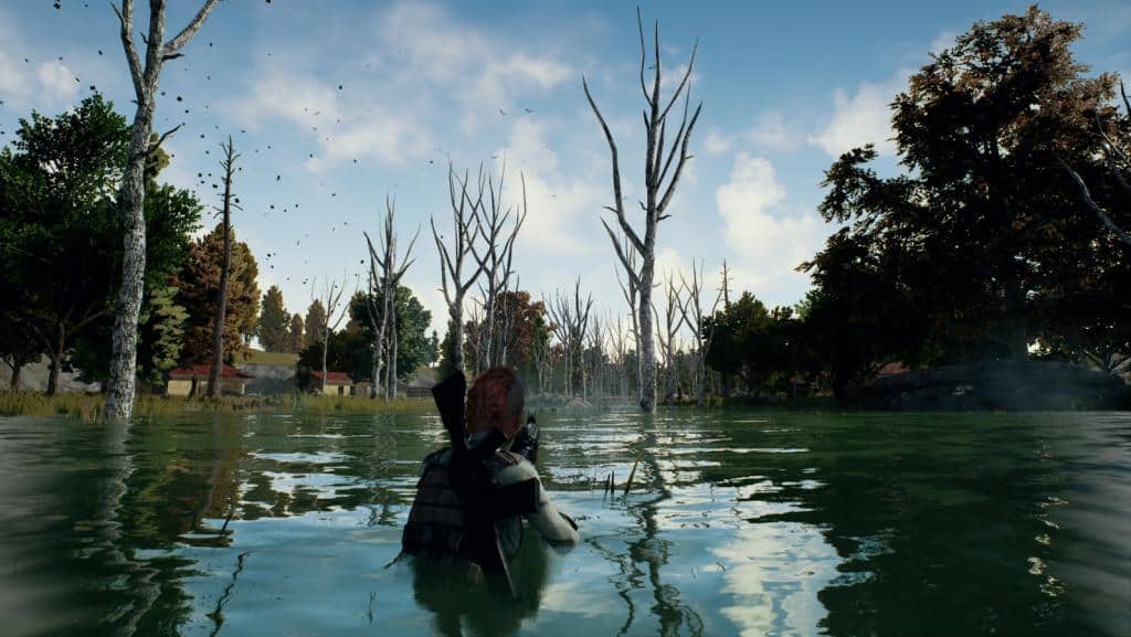 Bluehole, Playerunknown’s Battlegrounds