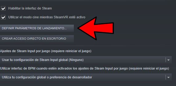 Opciones en Steam