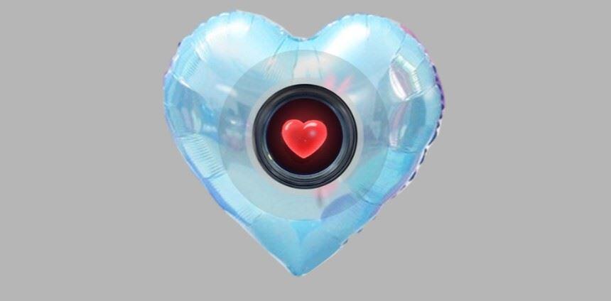Bungie Day 2020