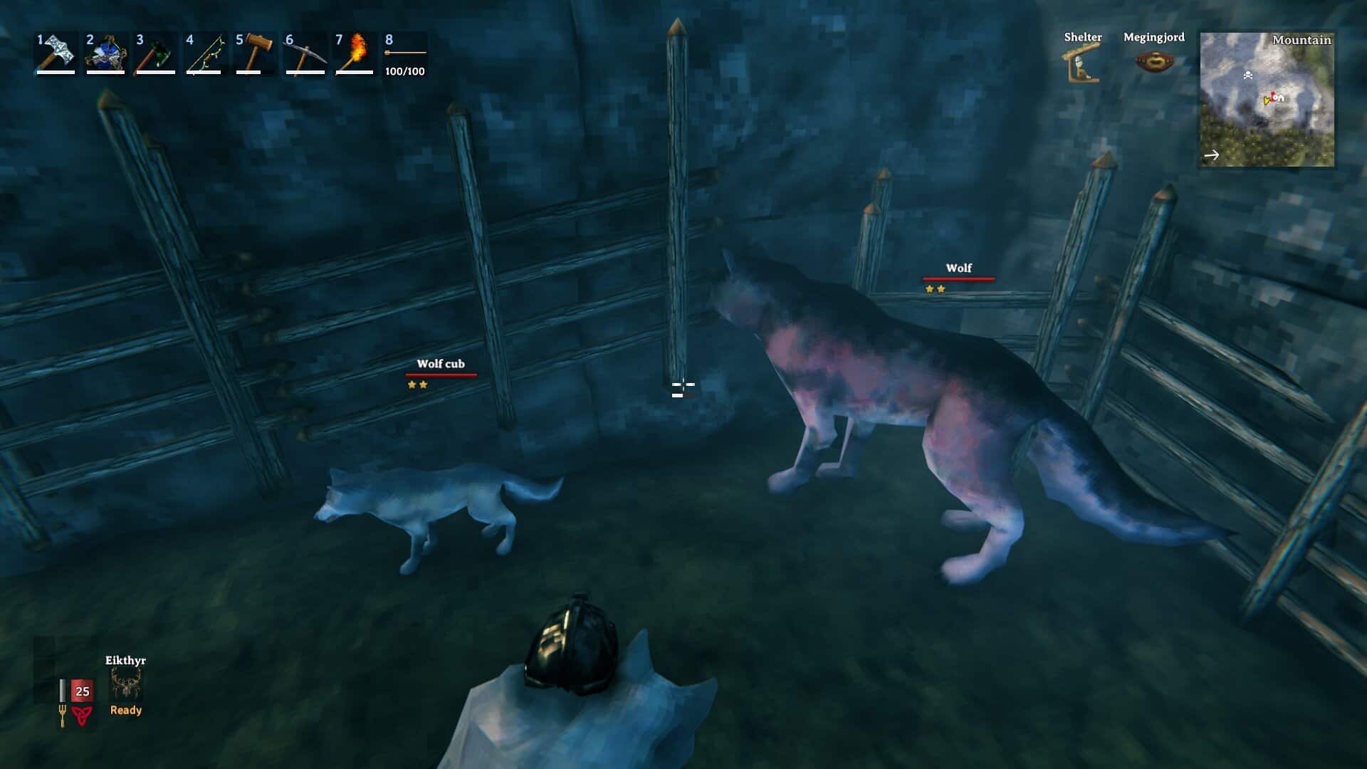 Valheim