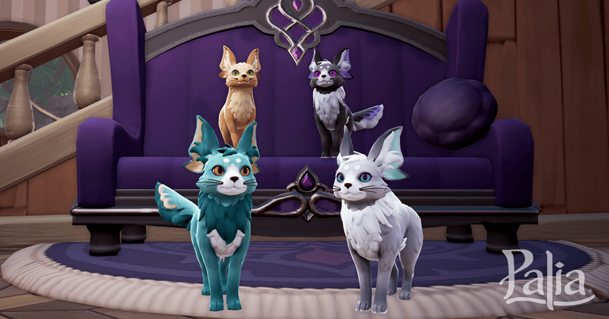 Introducing Pets!