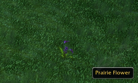 Temporada del Descubrimiento, World of Warcraft, World of Warcraft Classic