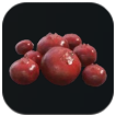 Palworld - Red Berries Material