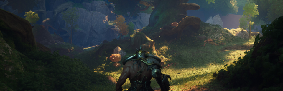 Legacy: Steel & Sorcery, Notorious Studios